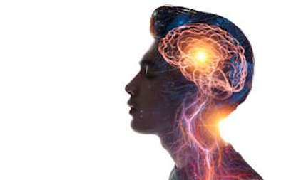 Neuropsicologia