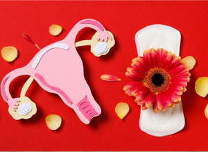 Saúde Menstrual: A Importância de Conhecer e Cuidar do Seu Ciclo