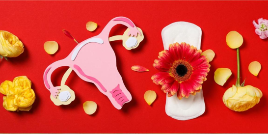 Saúde Menstrual: A Importância de Conhecer e Cuidar do Seu Ciclo