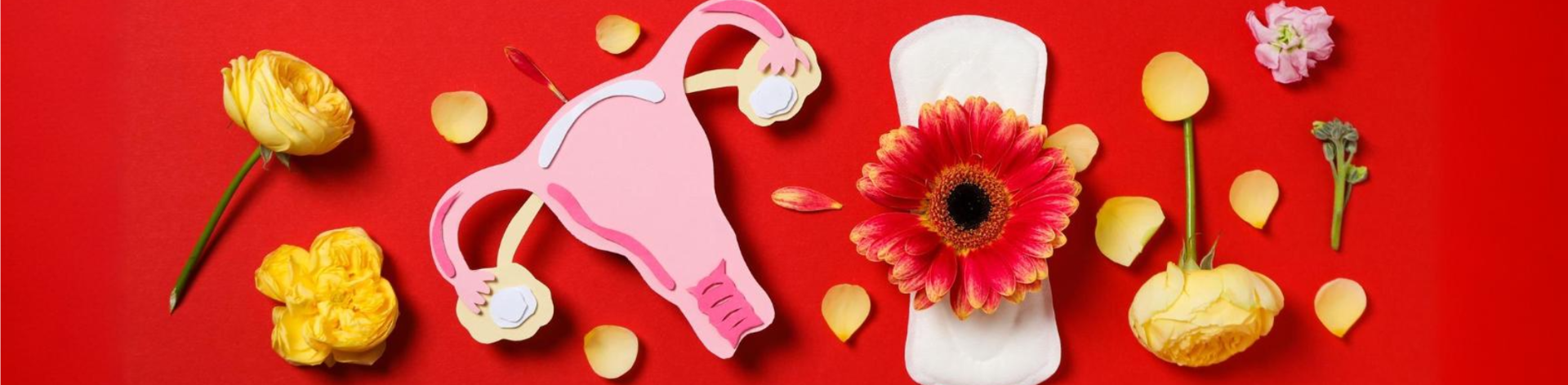 Saúde Menstrual: A Importância de Conhecer e Cuidar do Seu Ciclo