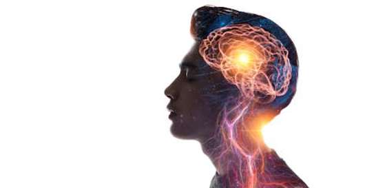 Neuropsicologia